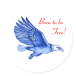 USA Born To Be Free Sticker