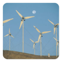 USA, California, Altamont Pass, wind generators.