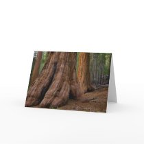 USA, California, Giant Sequoia tree Greeting Card