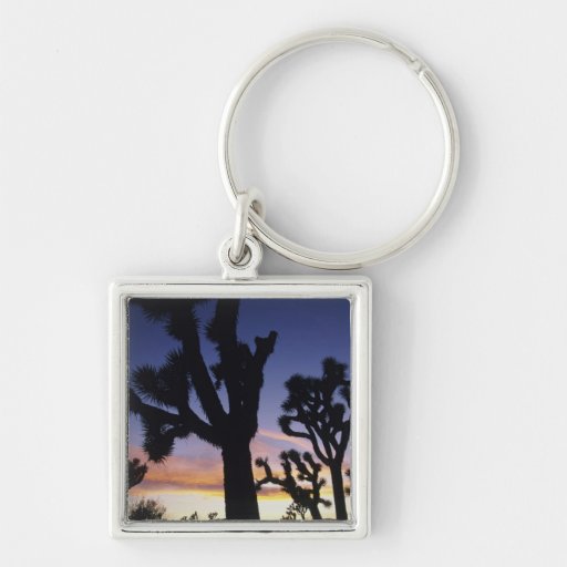 USA, California, Joshua Tree National Park, Keychains