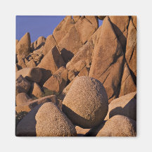 USA, California, Joshua Tree National Park. Refrigerator Magnets
