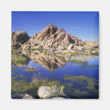 USA, California, Joshua Tree National Park, Magnets