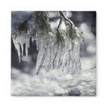 USA, California, Lake Tahoe. Icicles over Refrigerator Magnet
