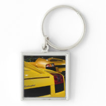 USA, California, Los Angeles: Los Angeles Auto 2 Key Chains