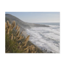 USA, California, Mendocino Coast Post Card
