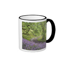 USA, California, Redwood National Park. Dirt Coffee Mugs