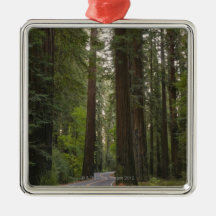 USA, California, road through Redwood forest 2 Christmas Tree Ornaments