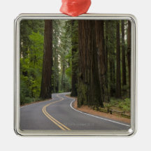 USA, California, road through Redwood forest Christmas Ornament