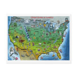 USA Cartoon Map Post Card