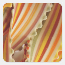 USA. Close-up of dried rainbow pasta noodles. Square Stickers