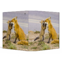 fox binders