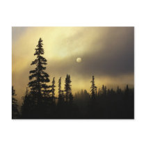 USA, Colorado, San Isabel National Forest.