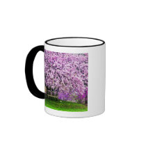USA, Delaware, Wilmington. Wooden bench under Mugs