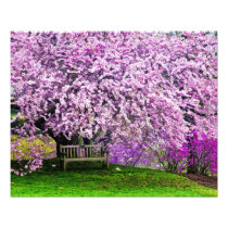 USA, Delaware, Wilmington. Wooden bench under