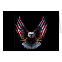 USA EAGLE CARDS