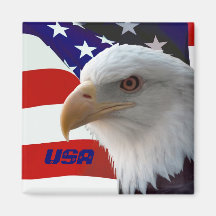 USA Eagle Magnet