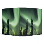 USA, Fairbanks area, Central Alaska, Aurora 2 binders