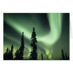 USA, Fairbanks area, Central Alaska, Aurora 2 cards