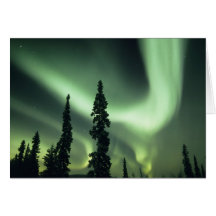 USA, Fairbanks area, Central Alaska, Aurora 2 Greeting Cards