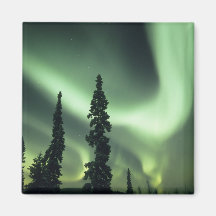 USA, Fairbanks area, Central Alaska, Aurora 2 Magnet