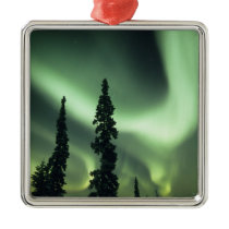 USA, Fairbanks area, Central Alaska, Aurora 2 Ornaments