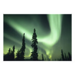 USA, Fairbanks area, Central Alaska, Aurora 2 photography