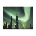 USA, Fairbanks area, Central Alaska, Aurora 2 postcards
