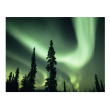 USA, Fairbanks area, Central Alaska, Aurora 2 Postcard