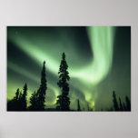 USA, Fairbanks area, Central Alaska, Aurora 2 posters