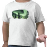 USA, Fairbanks area, Central Alaska, Aurora 2 t-shirts