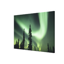 USA, Fairbanks area, Central Alaska, Aurora 3 Gallery Wrap Canvas