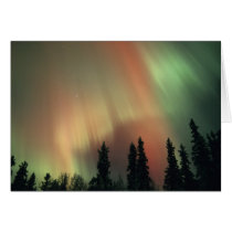 USA, Fairbanks area, Central Alaska, Aurora 3 Cards