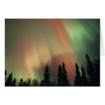USA, Fairbanks area, Central Alaska, Aurora 3 cards