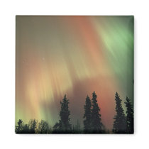 USA, Fairbanks area, Central Alaska, Aurora 3 Refrigerator Magnet