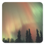 USA, Fairbanks area, Central Alaska, Aurora 3 stickers