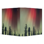 USA, Fairbanks area, Central Alaska, Aurora binders