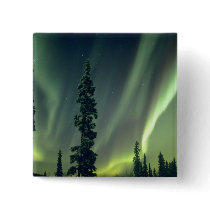 USA, Fairbanks area, Central Alaska, Aurora