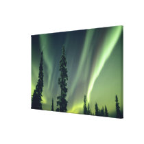 USA, Fairbanks area, Central Alaska, Aurora Canvas Print