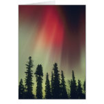 USA, Fairbanks area, Central Alaska, Aurora cards
