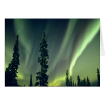 USA, Fairbanks area, Central Alaska, Aurora