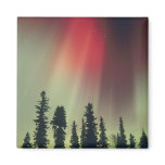 USA, Fairbanks area, Central Alaska, Aurora magnets