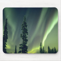USA, Fairbanks area, Central Alaska, Aurora