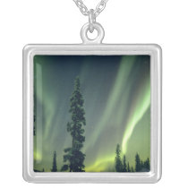 USA, Fairbanks area, Central Alaska, Aurora