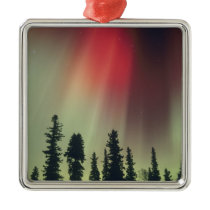 USA, Fairbanks area, Central Alaska, Aurora Christmas Tree Ornament