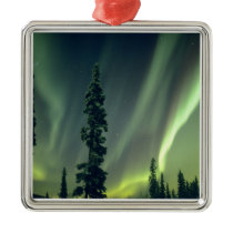 USA, Fairbanks area, Central Alaska, Aurora