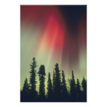 USA, Fairbanks area, Central Alaska, Aurora photography