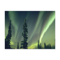 USA, Fairbanks area, Central Alaska, Aurora