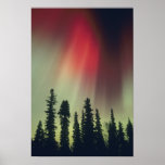 USA, Fairbanks area, Central Alaska, Aurora posters