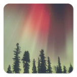USA, Fairbanks area, Central Alaska, Aurora stickers