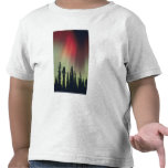 USA, Fairbanks area, Central Alaska, Aurora t-shirts